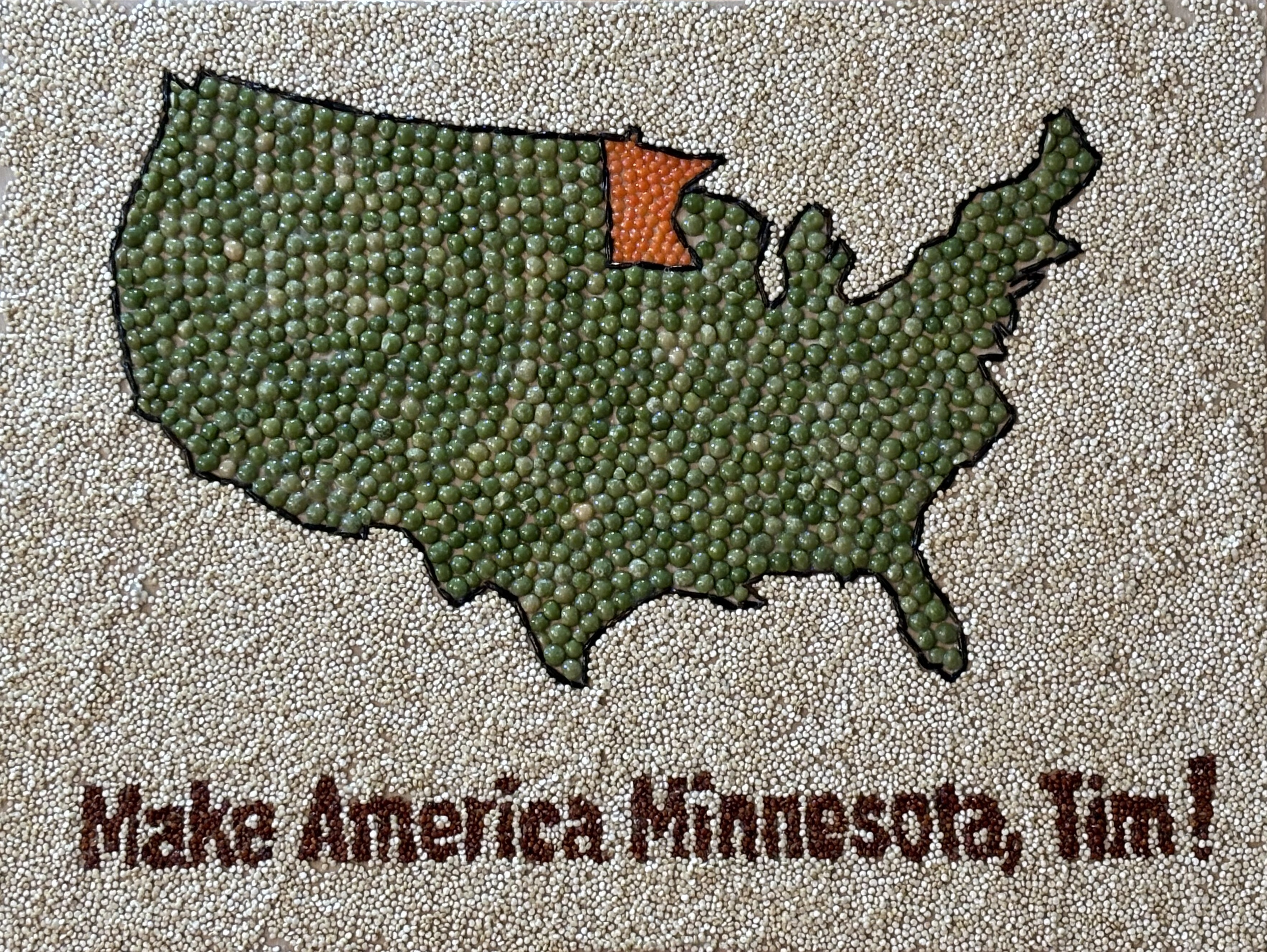 [Nell Graham Make America Minnesota, Tim! image]